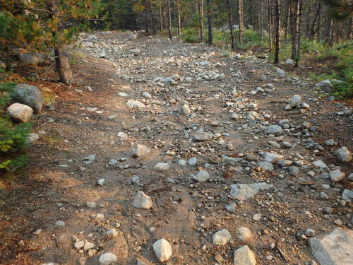 GDMBR: Road damage from last night’s rain storm.